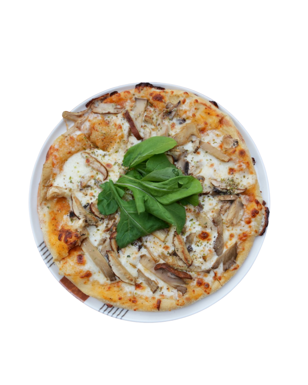FUNGHI
